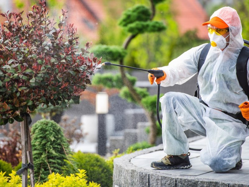 Çiğli Haşere İlaçlama